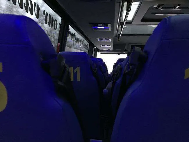 bus